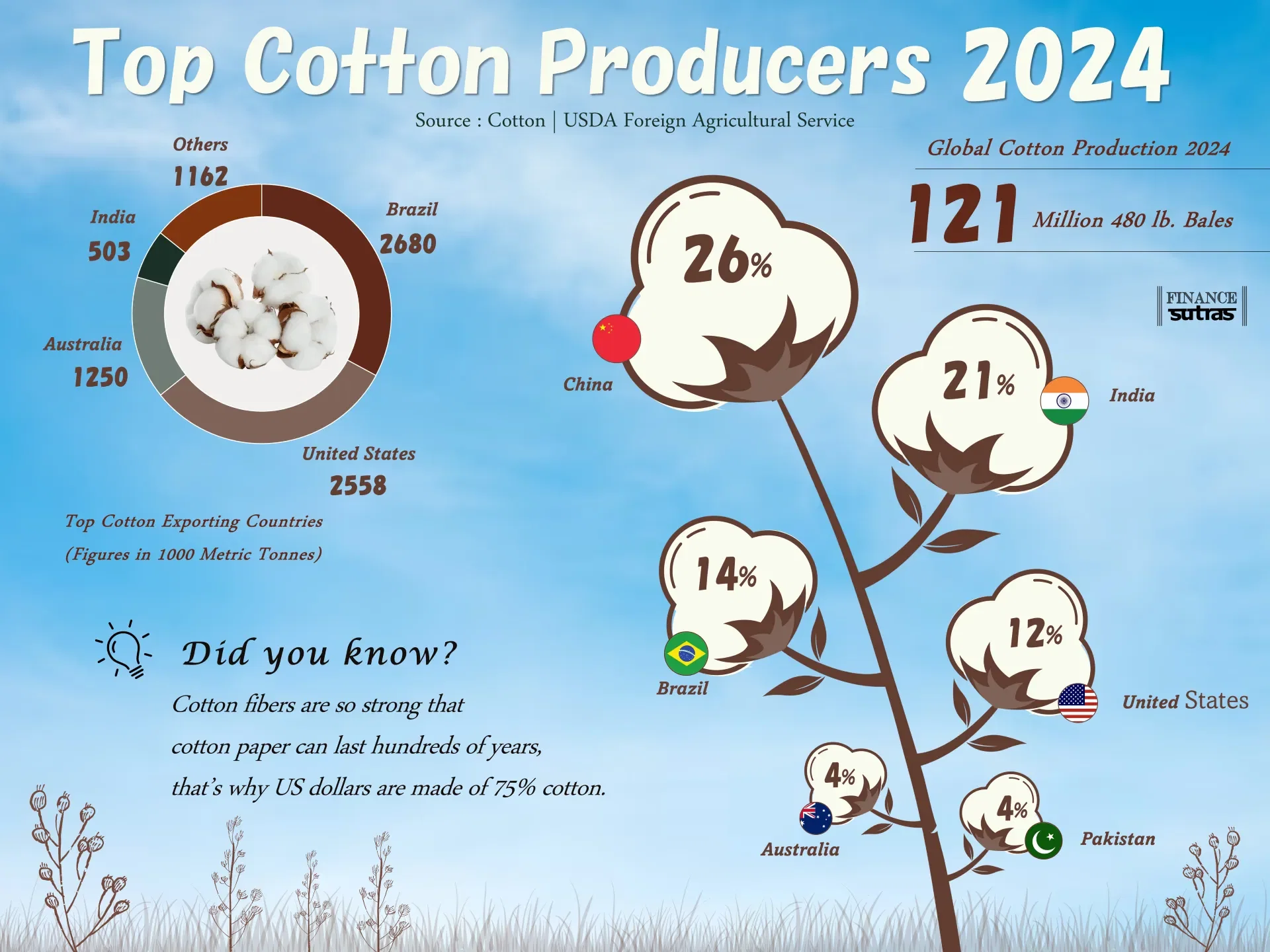 Global Cotton Snapshot