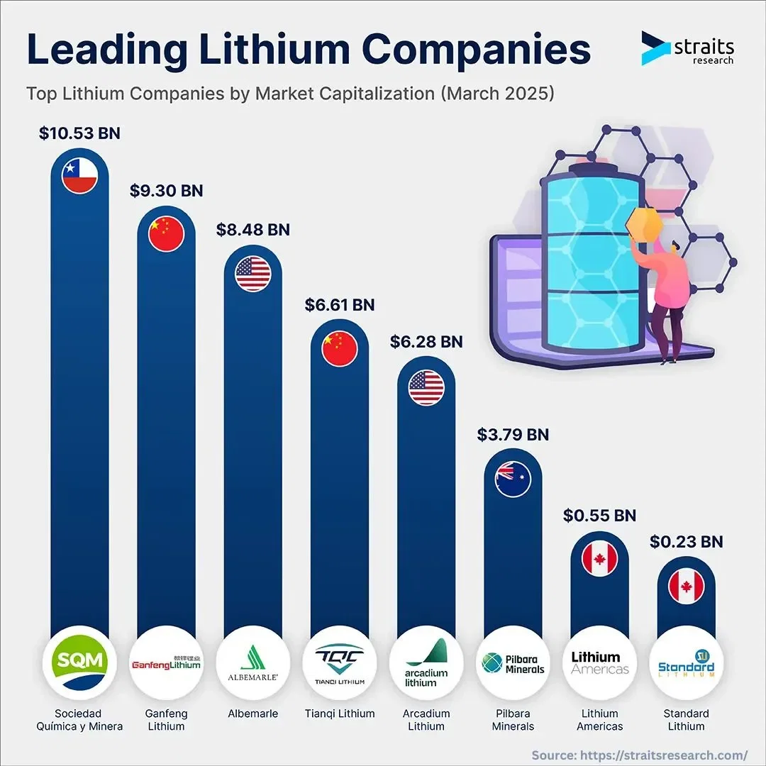 8 Largest Lithium Companies by Market Cap (March 2025)