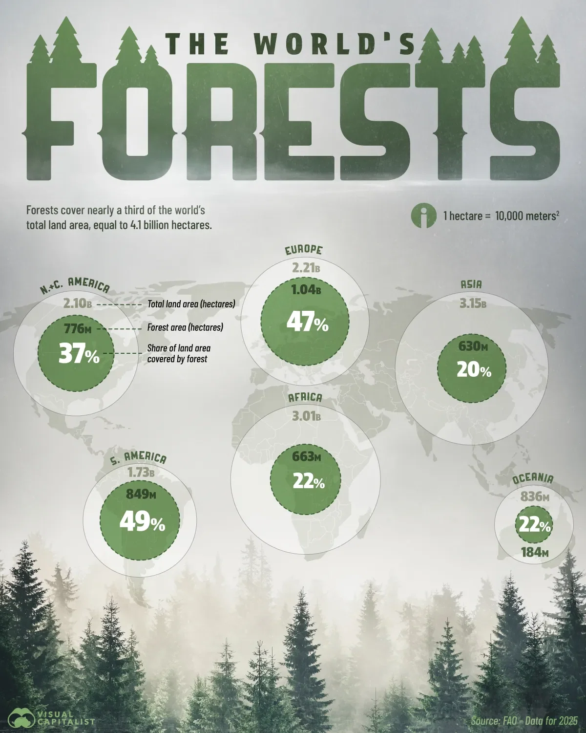 The World's 4.1 B Hectares of Forests by Region 🌲