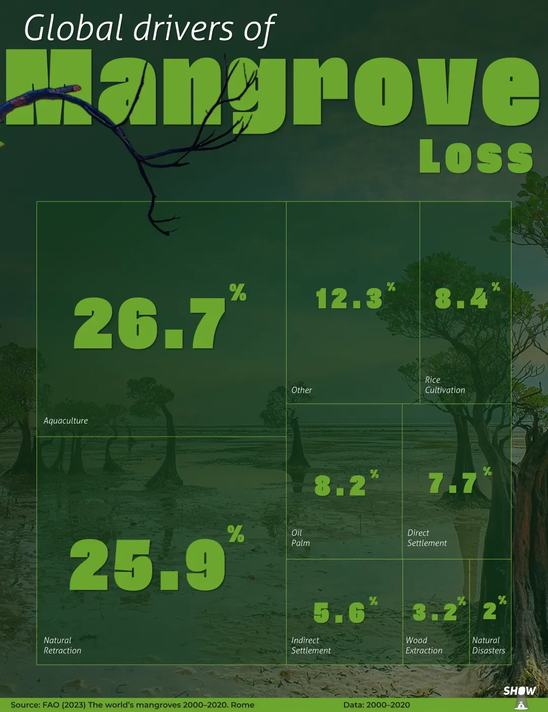Global Drivers Of Mangrove Loss