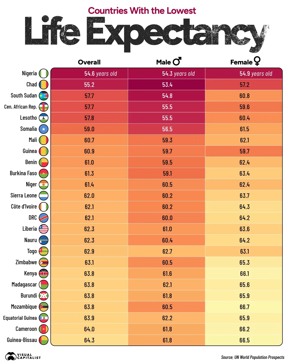Which Countries Have the Lowest Life Expectancy?
