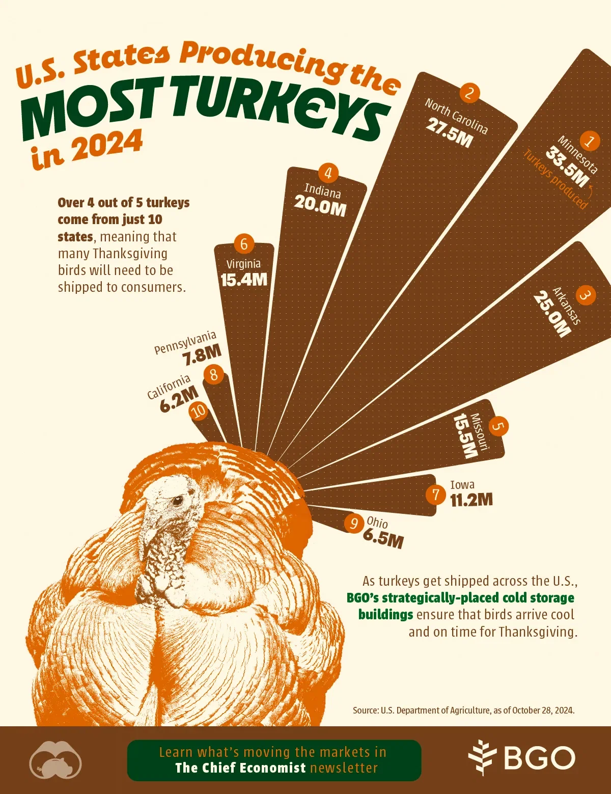 Minnesota Leads in U.S. Turkey Production 🦃