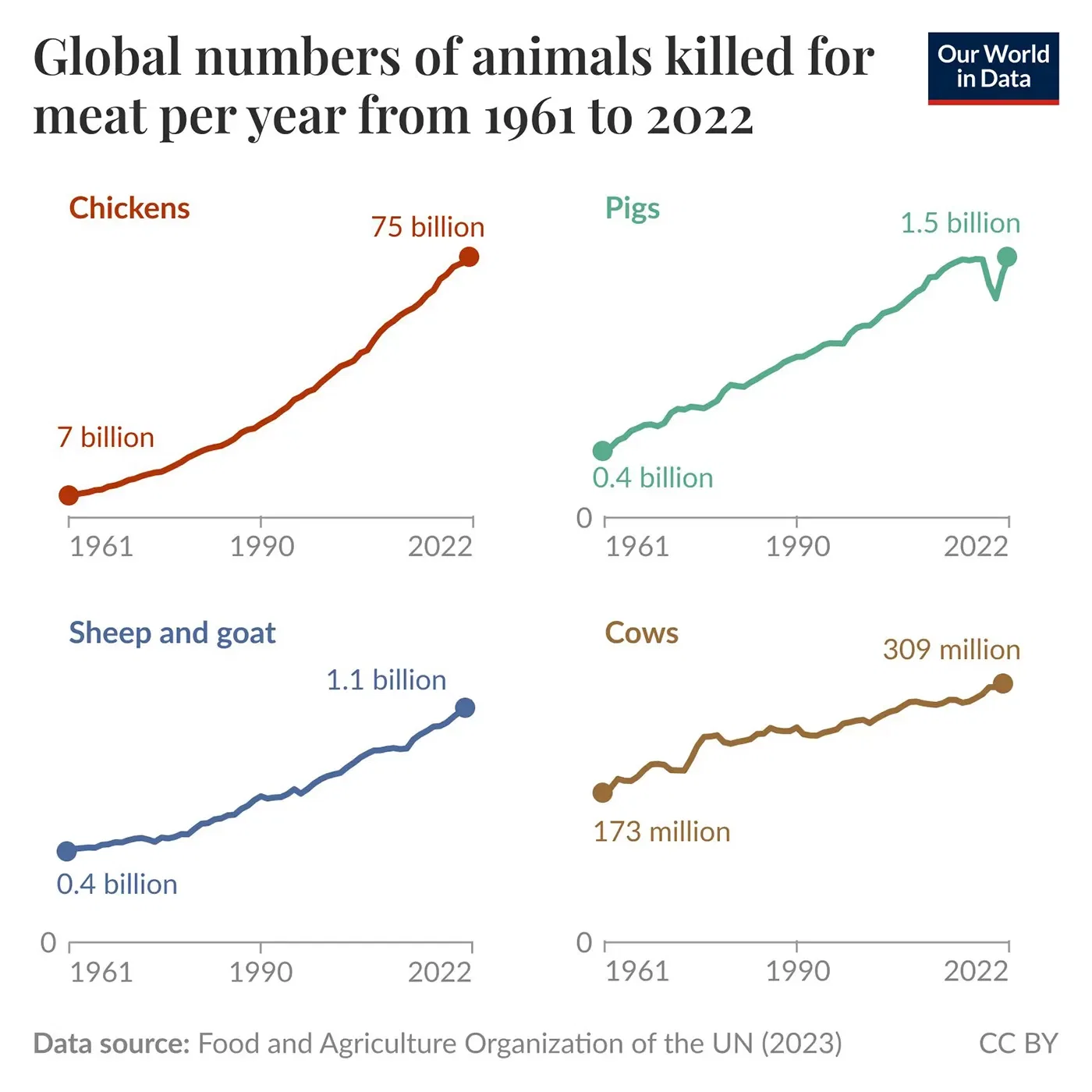 More land animals than ever before are slaughtered for meat