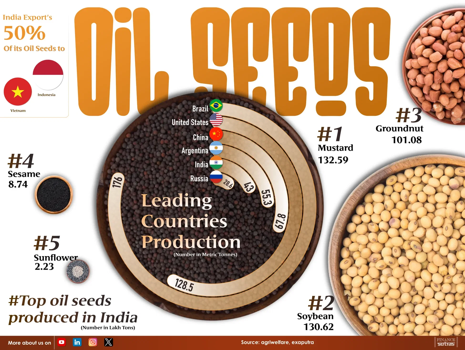 India’s Hidden Export Goldmine: Oil Seeds Powering Global Markets