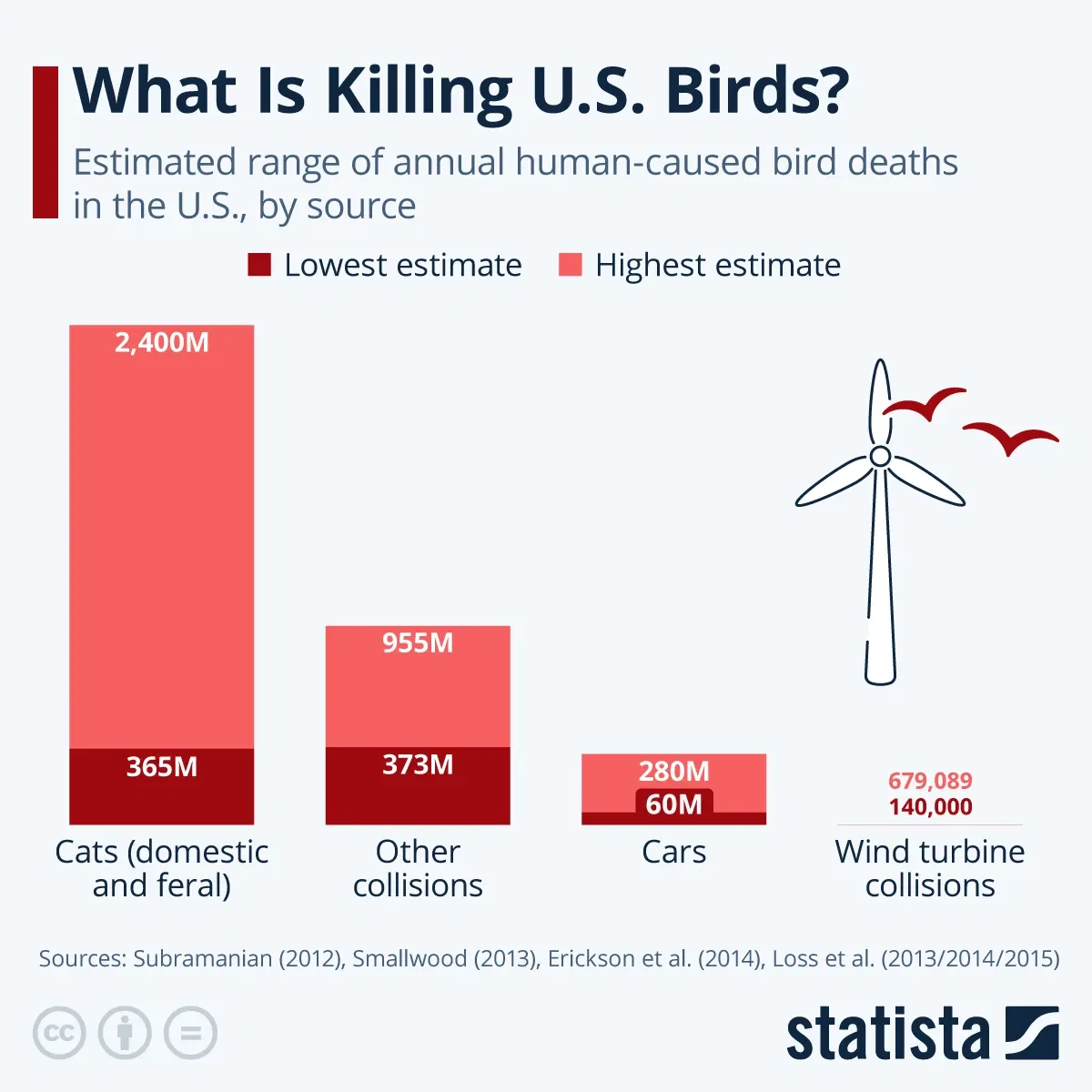 What Is Killing U.S. Birds?