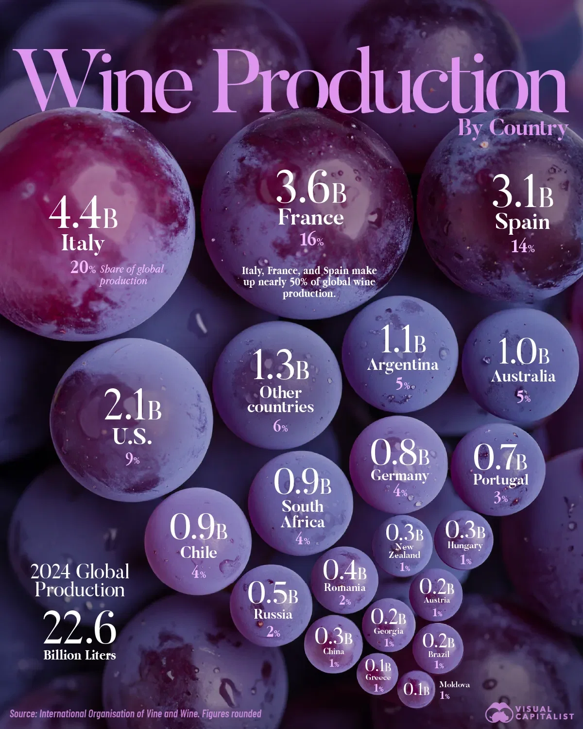 Wine Production by Country in 2024