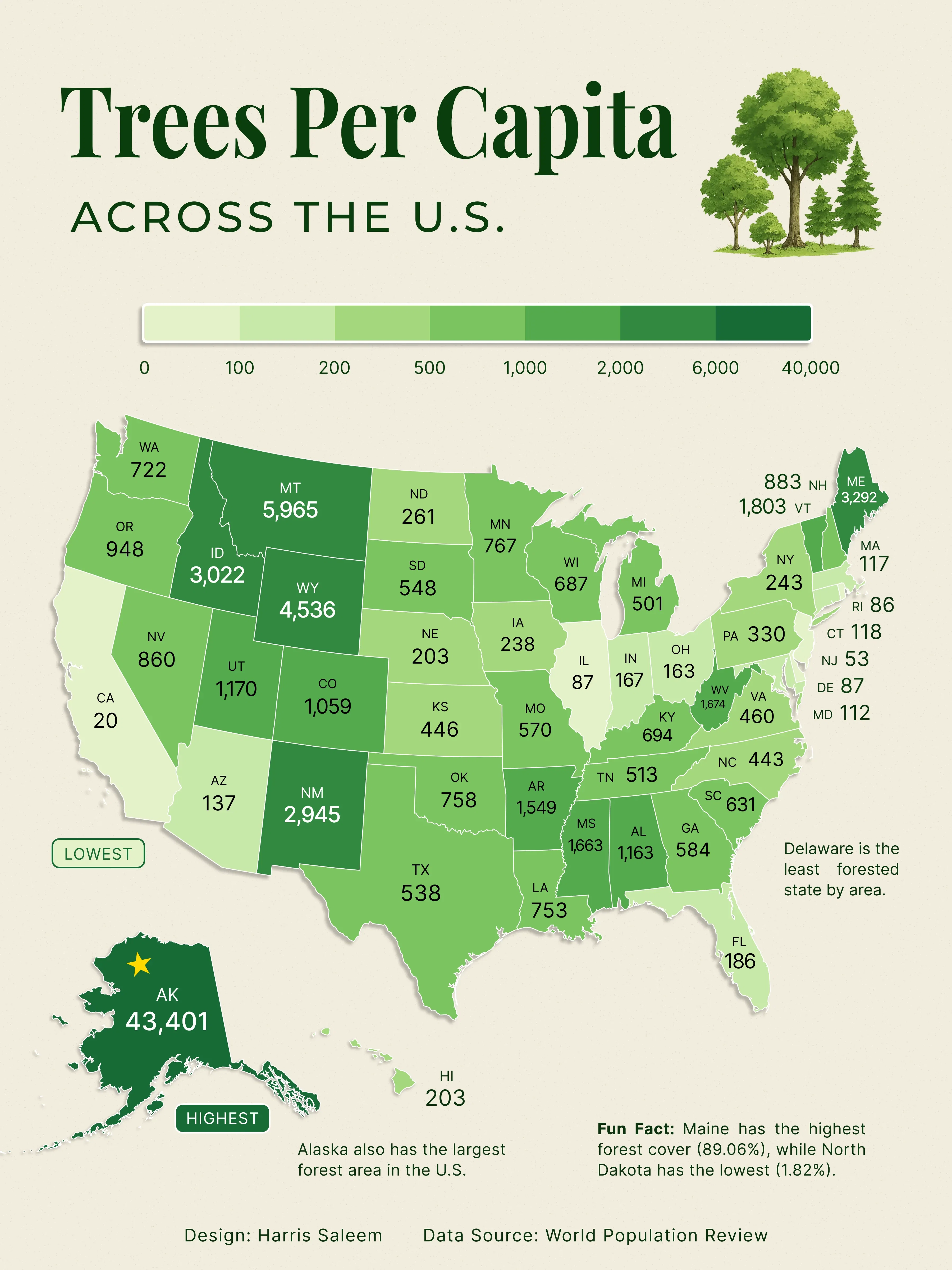 Mapped: Trees Per Capita Across The U.S.