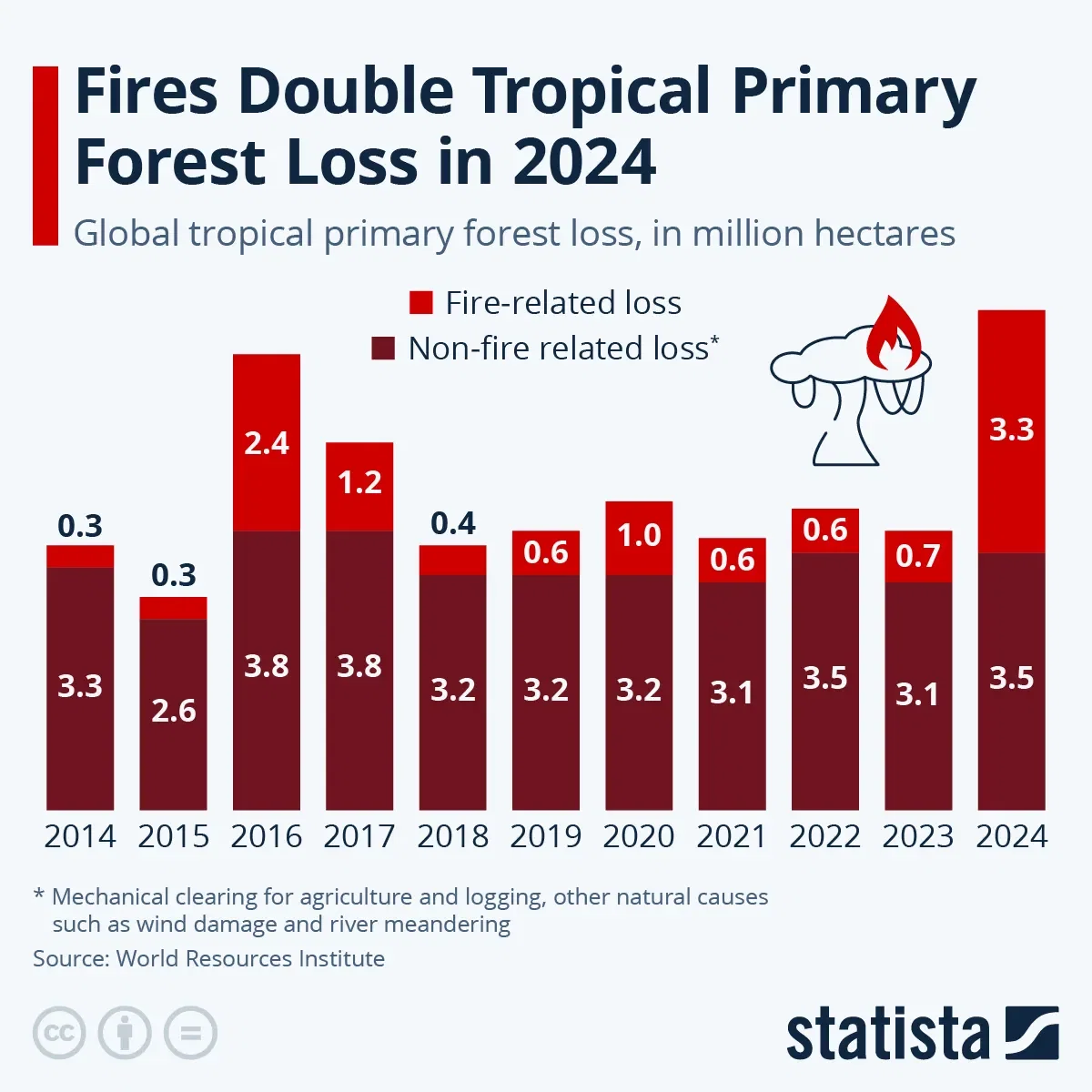 Fires Double Tropical Primary Forest Loss in 2024