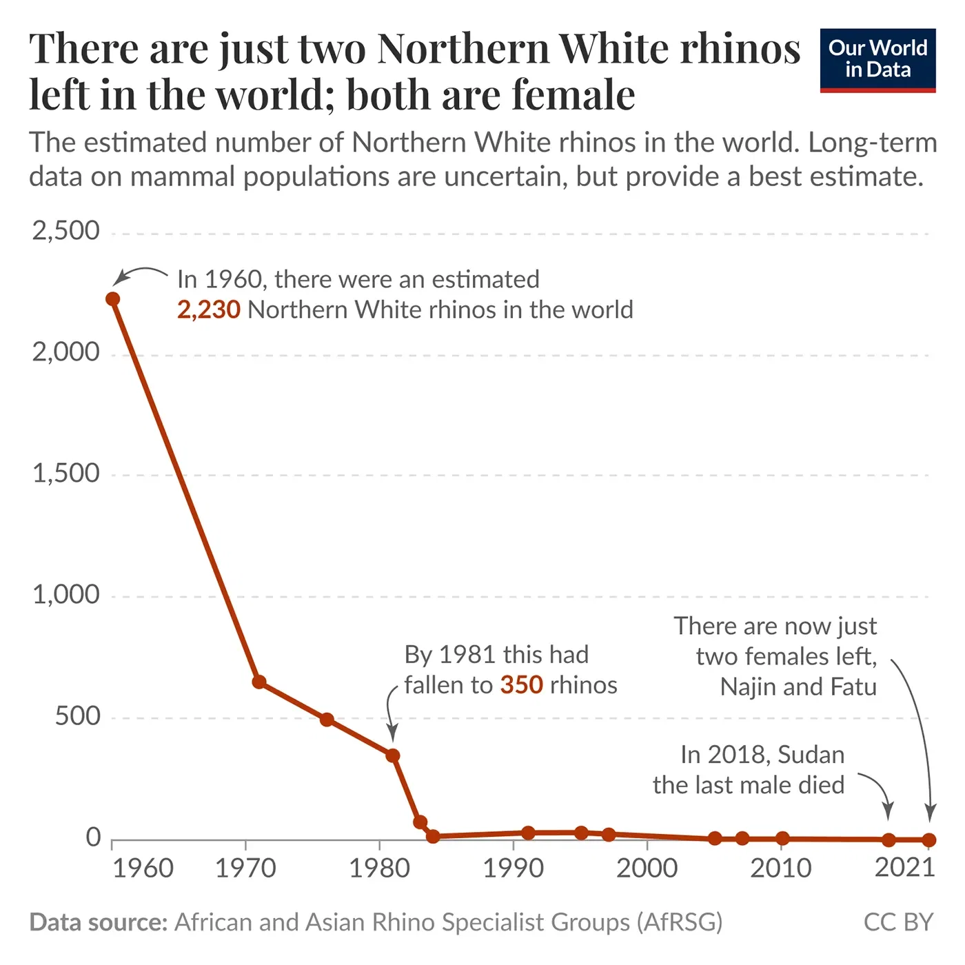Only two Northern White rhinos remain, and both are female