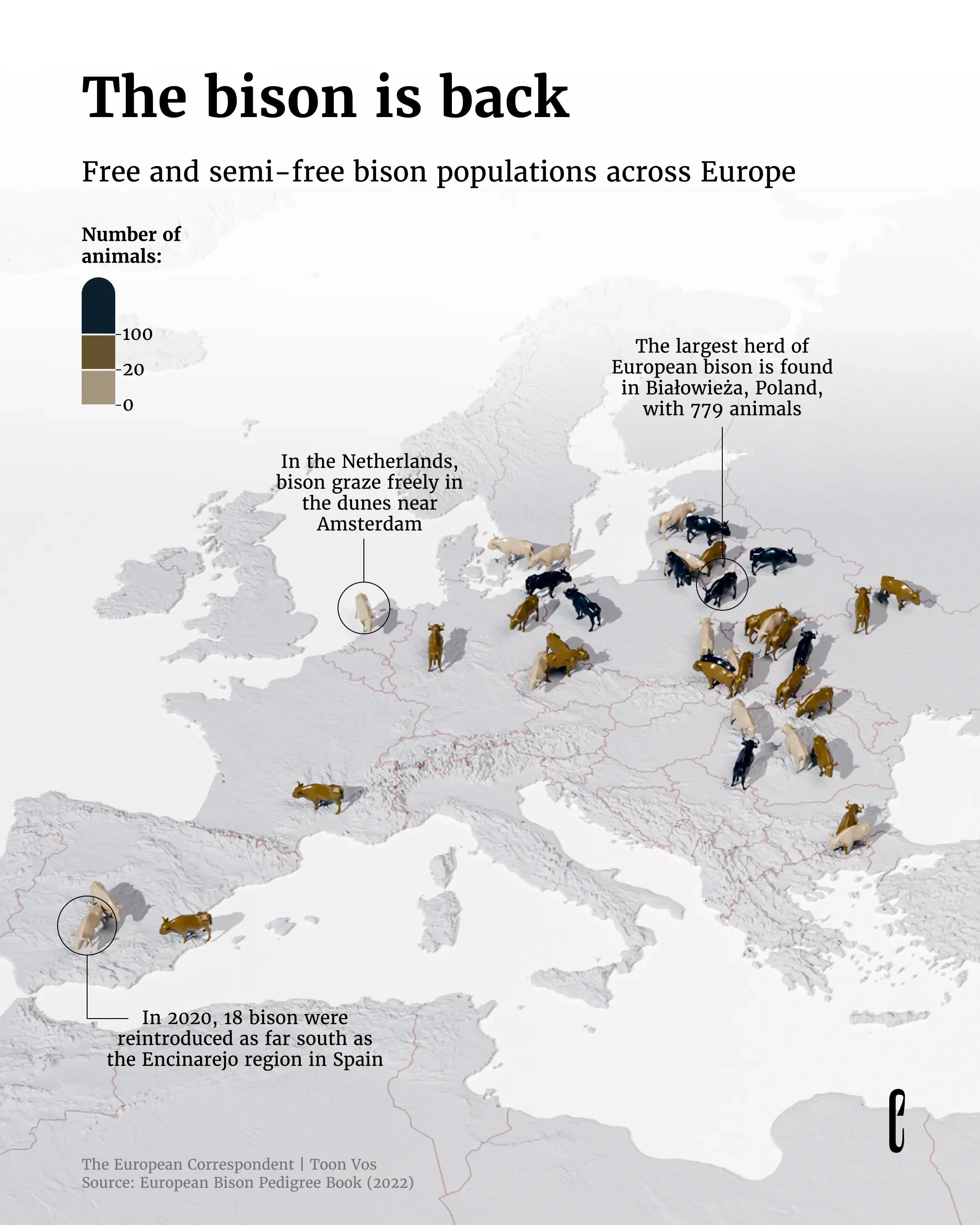 European bison are back