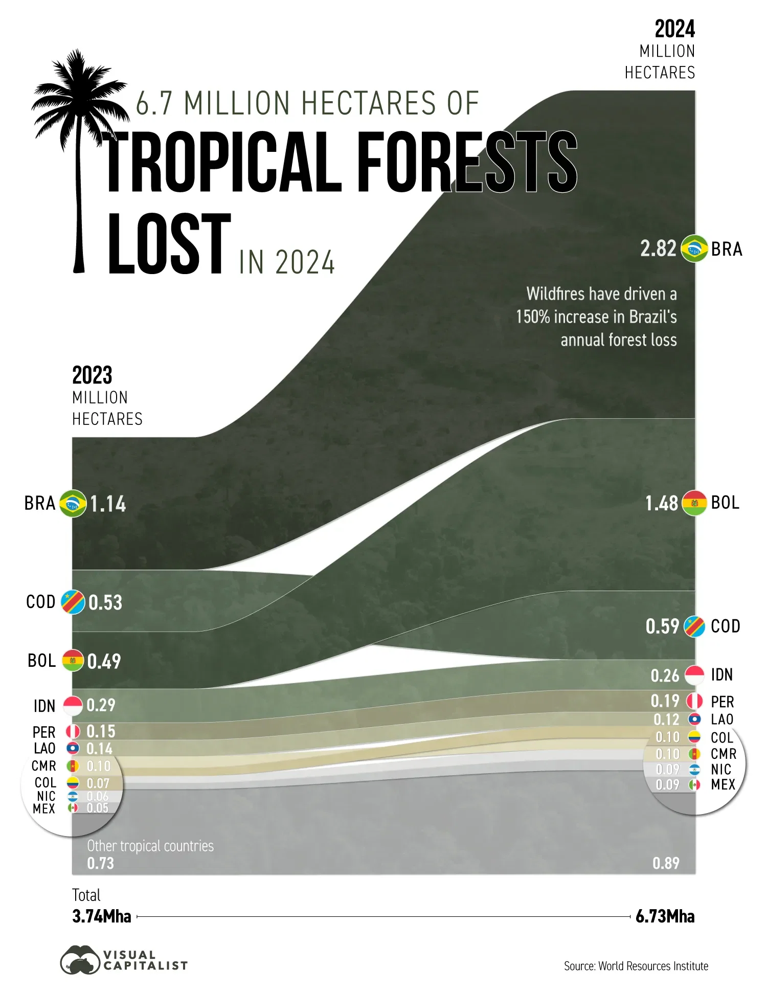 The World Lost a Record Amount of its Tropical Forests in 2024