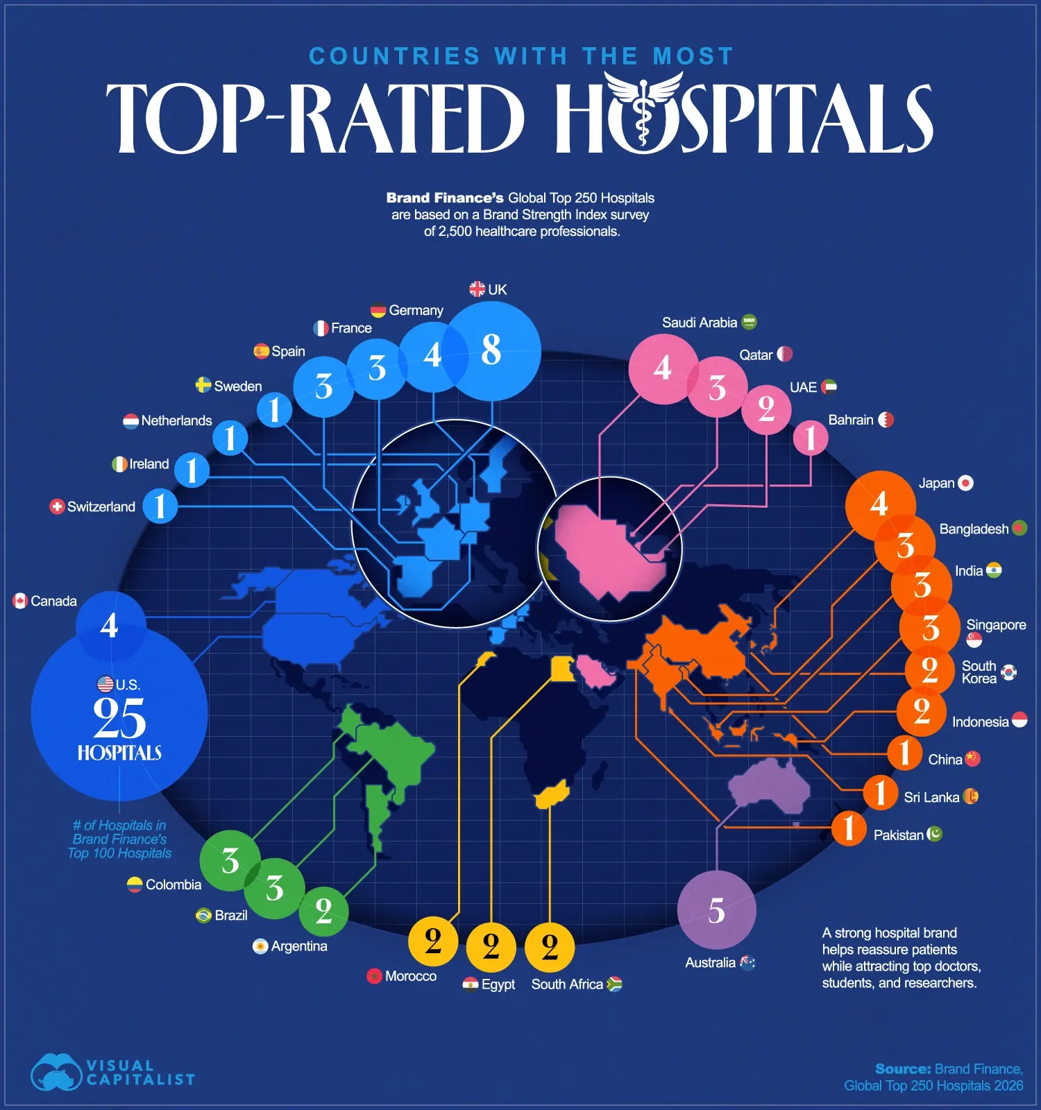 Mapped: Countries With the Most Top Hospital Brands