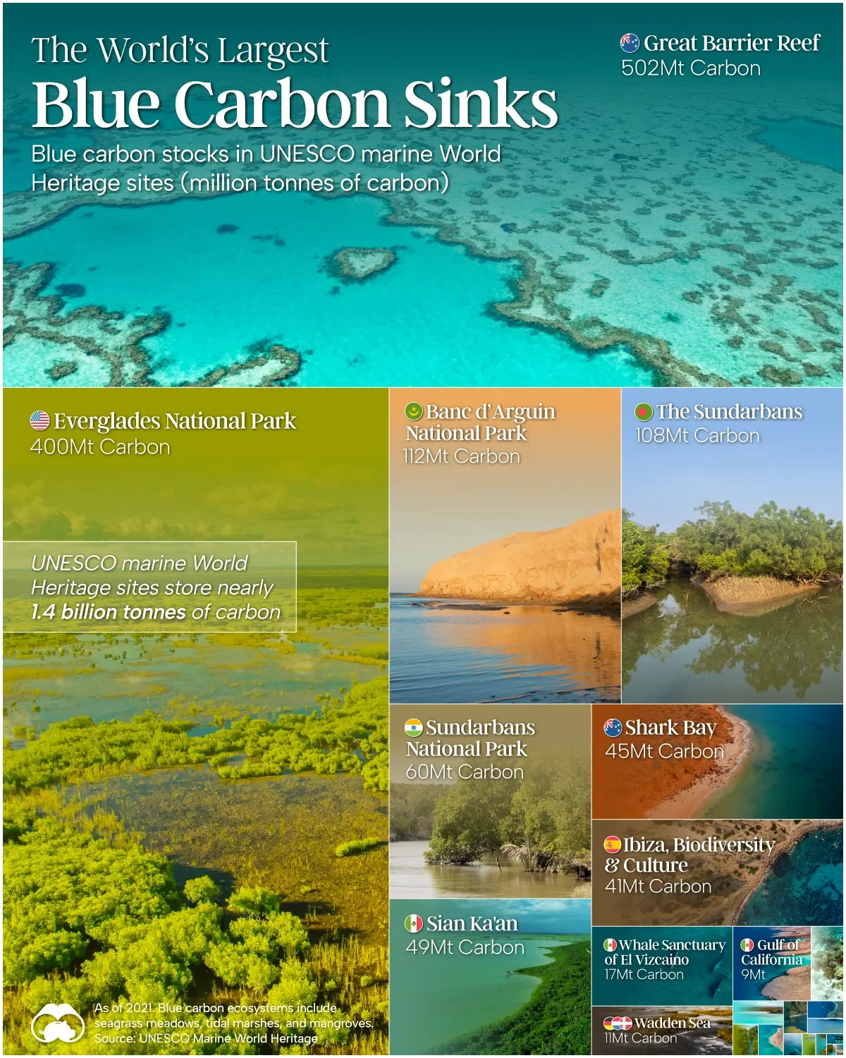 The World’s Largest Blue Carbon Sinks