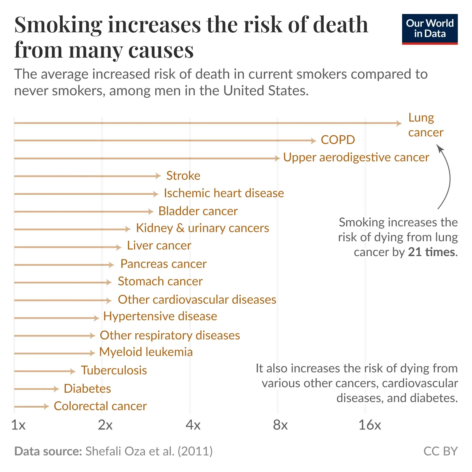 Smoking increases the risk of death from many causes