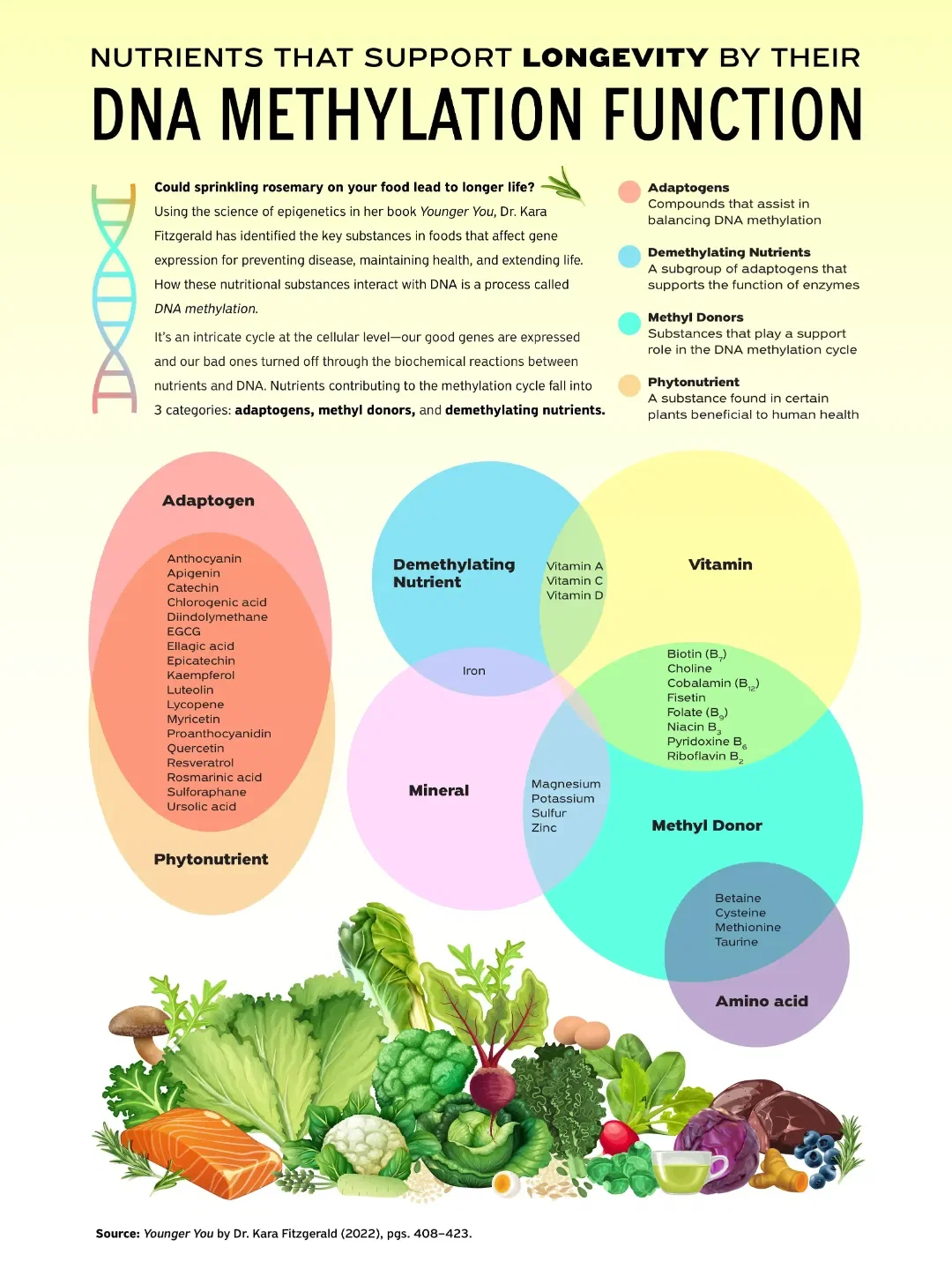 The Best Foods for Longevity