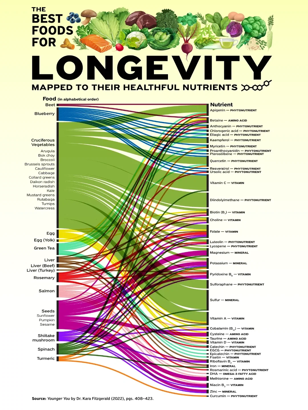 The Best Foods for Longevity