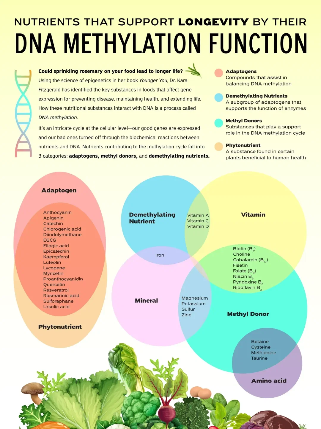 The Best Foods for Longevity