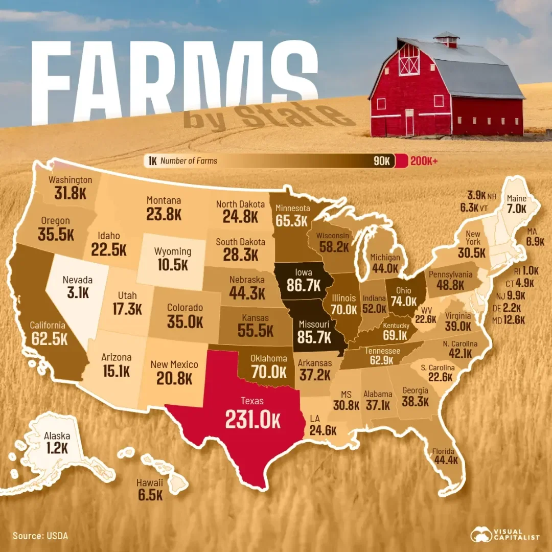 The World's Largest Tobacco Producers