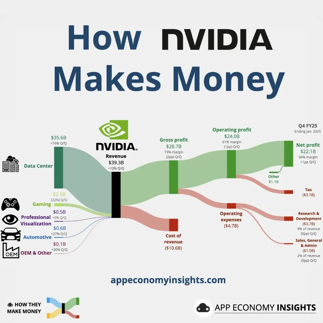 NVIDIA's Income Statement Visualized Q4 FY25  (January 2025 quarter)