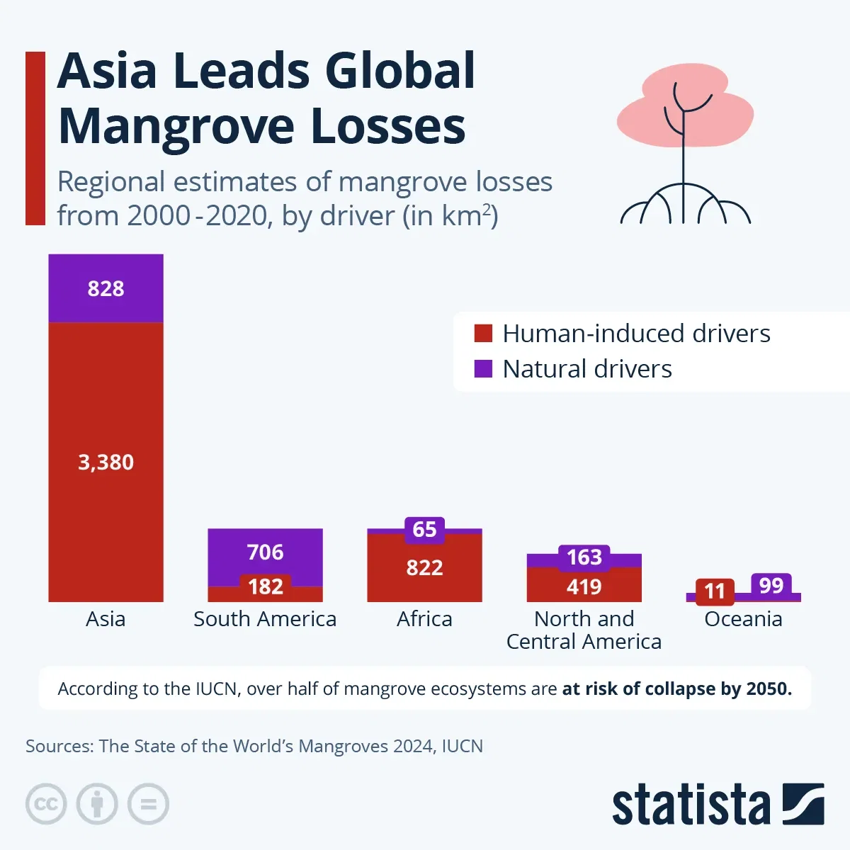 Asia Leads Global Mangrove Losses