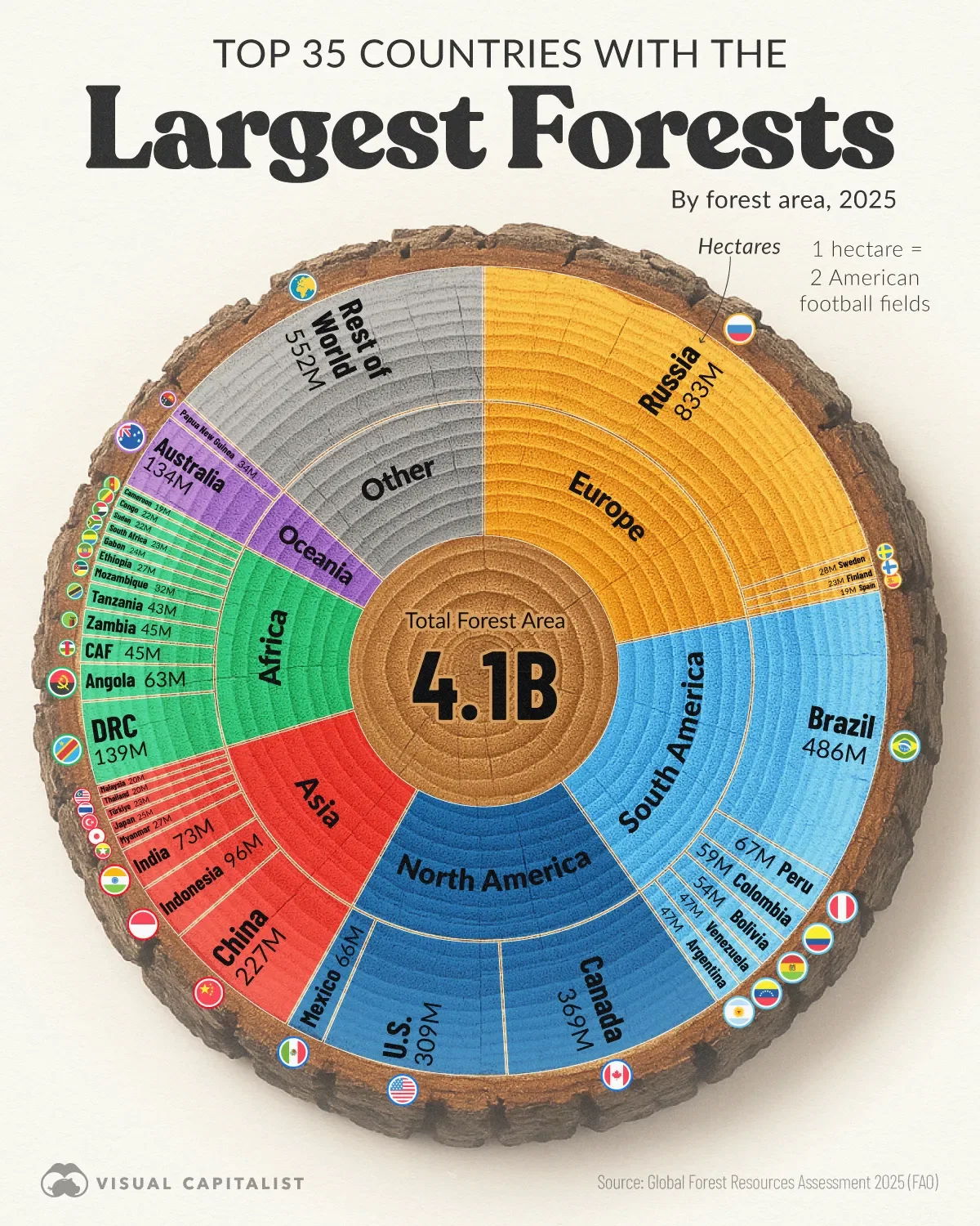 Which Countries Have the Largest Forests?