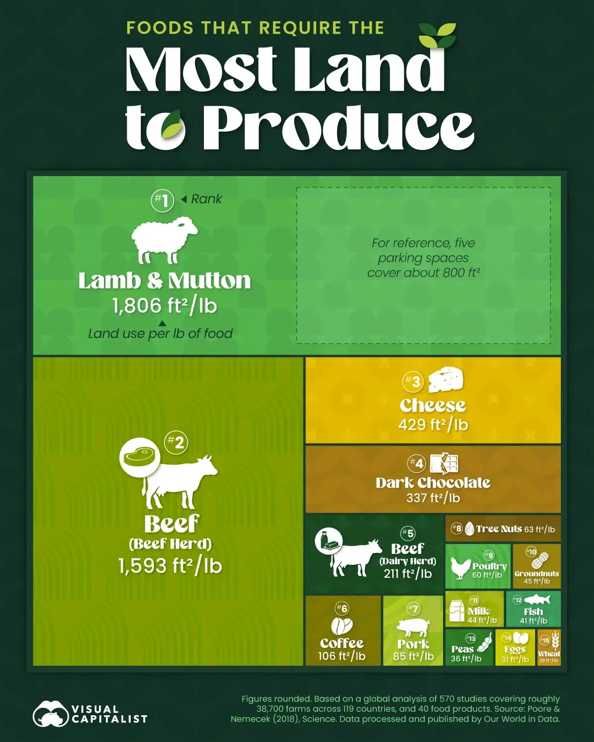 Ranked: Which Foods Use the Most Land?