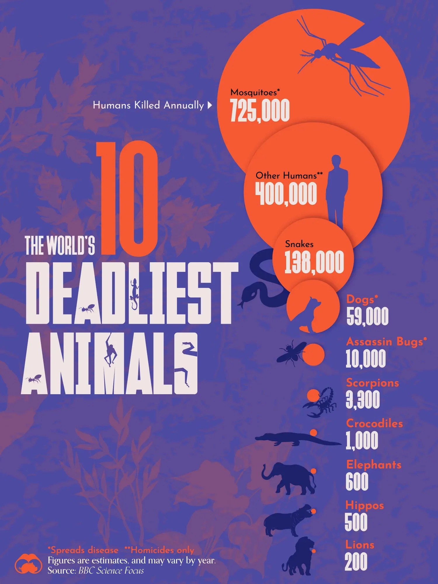 🔪 Humans are the Second-Deadliest Animals… for Humans 🧑