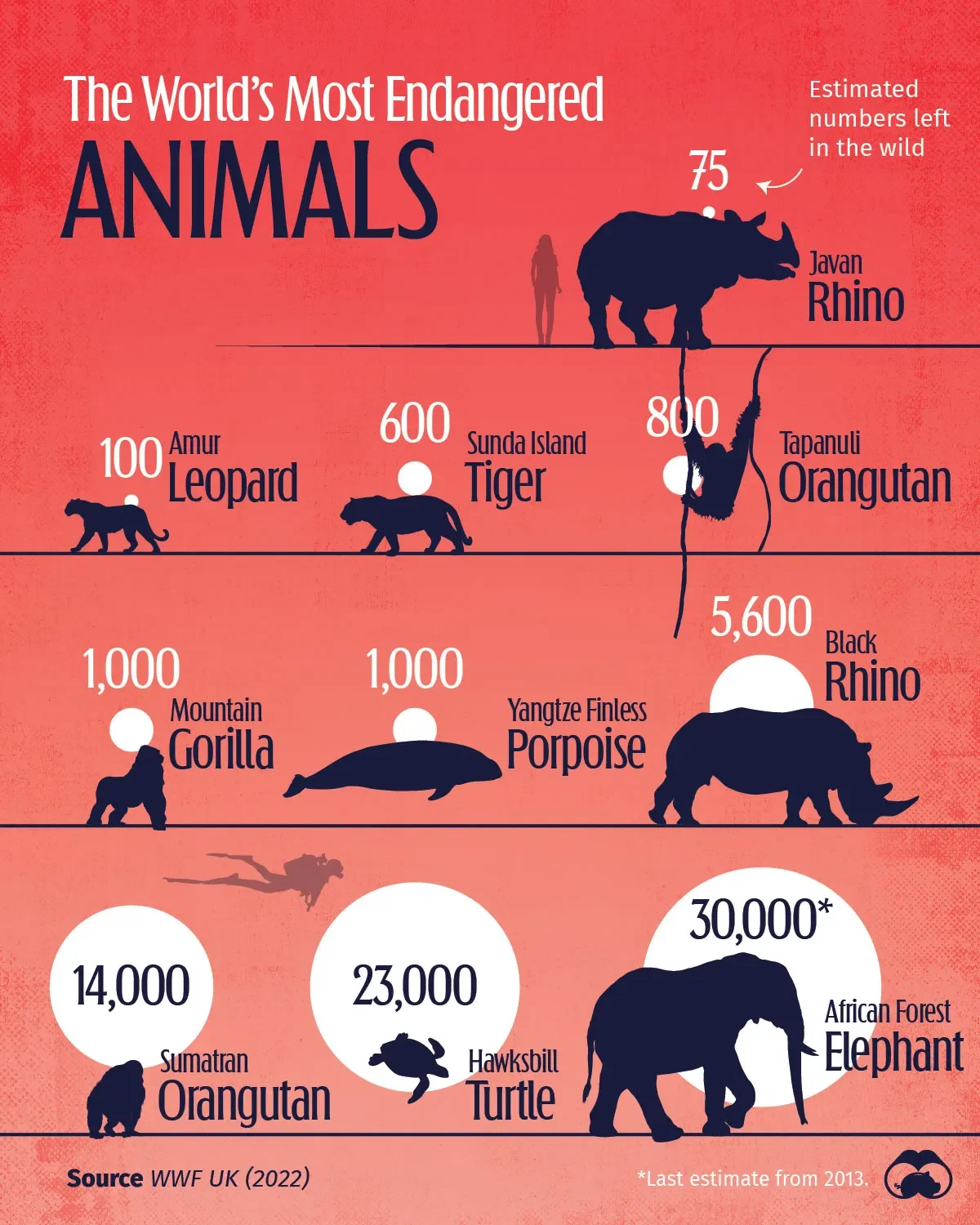 🇮🇩 Indonesia is Home to Four of the World's Most Endangered Animals