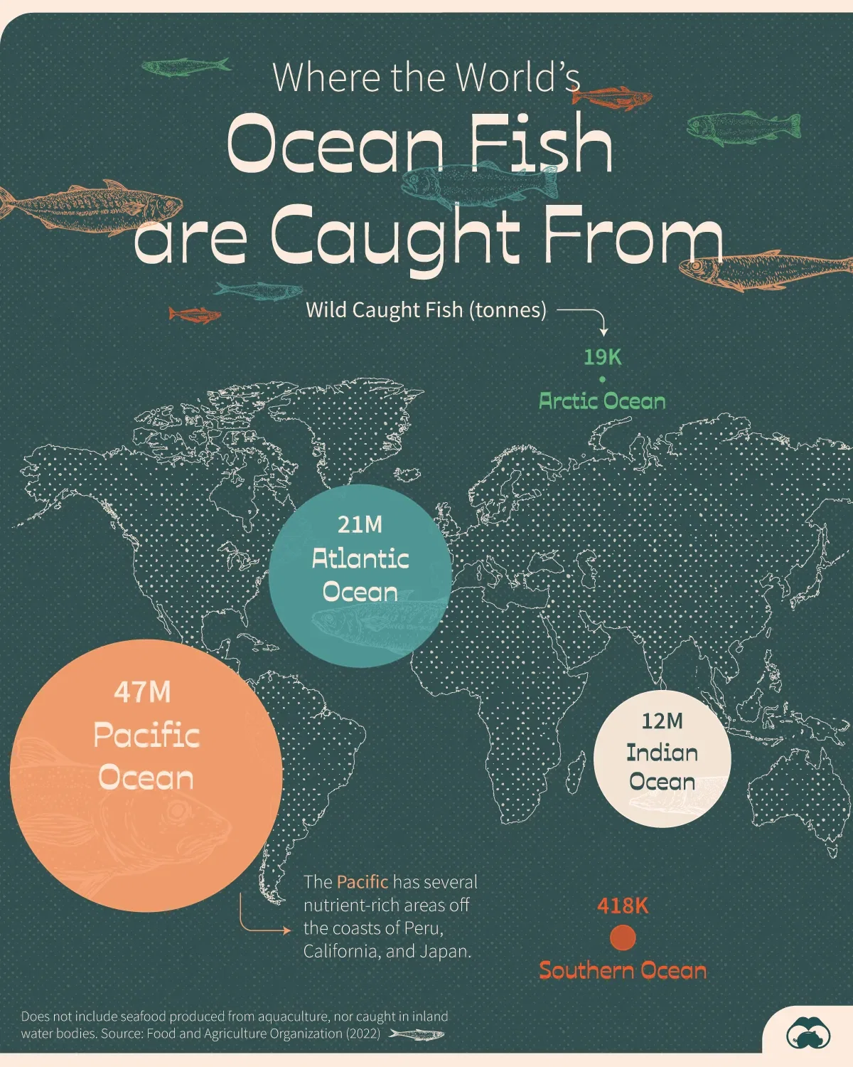 🐟 Wild-Caught Fish: A Breakdown by Ocean