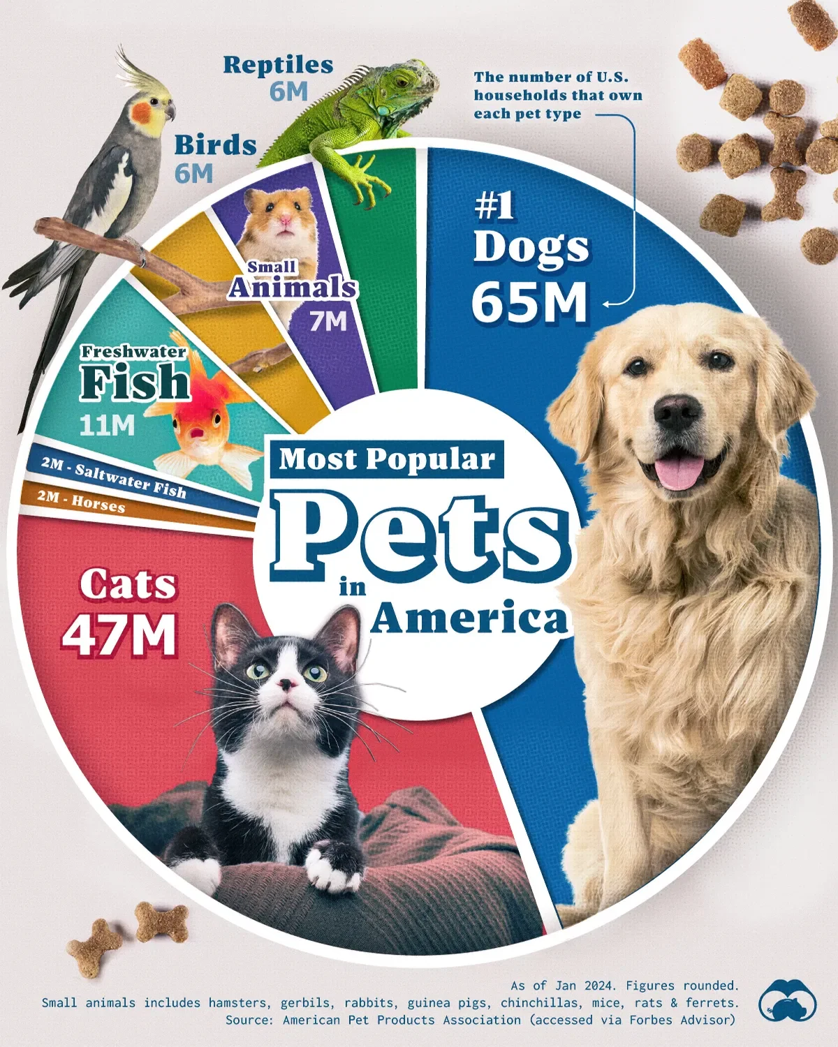 65 Million U.S. Households Own a Dog 🐶