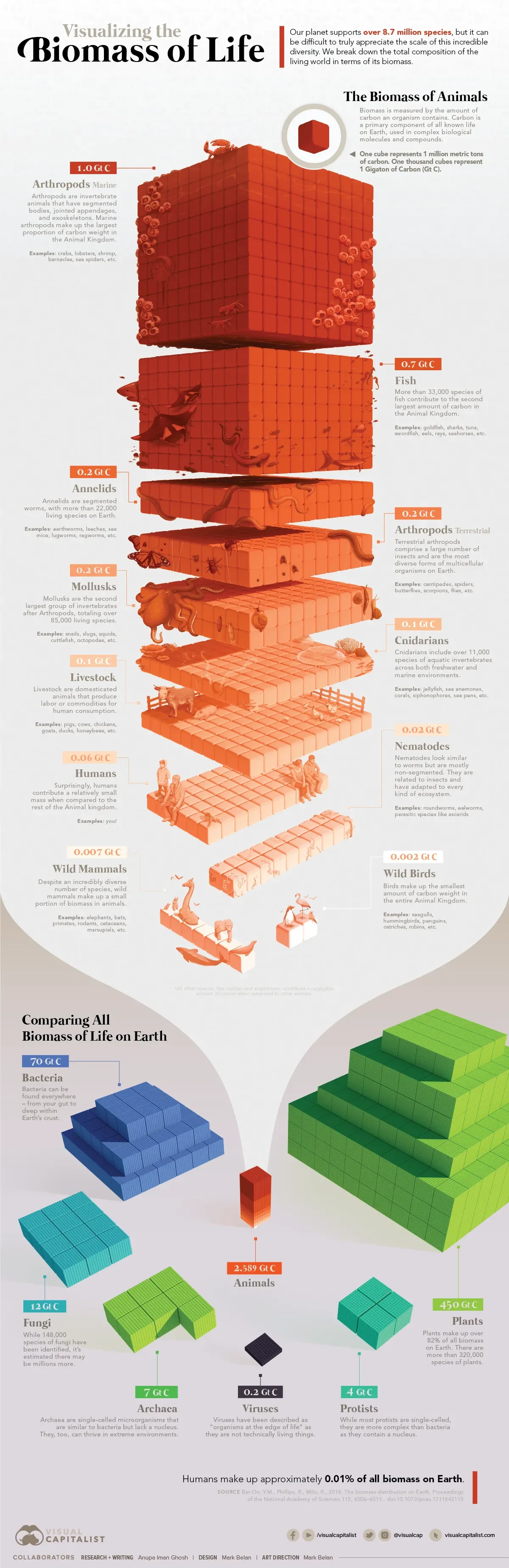 All the Biomass of Earth, in One Graphic