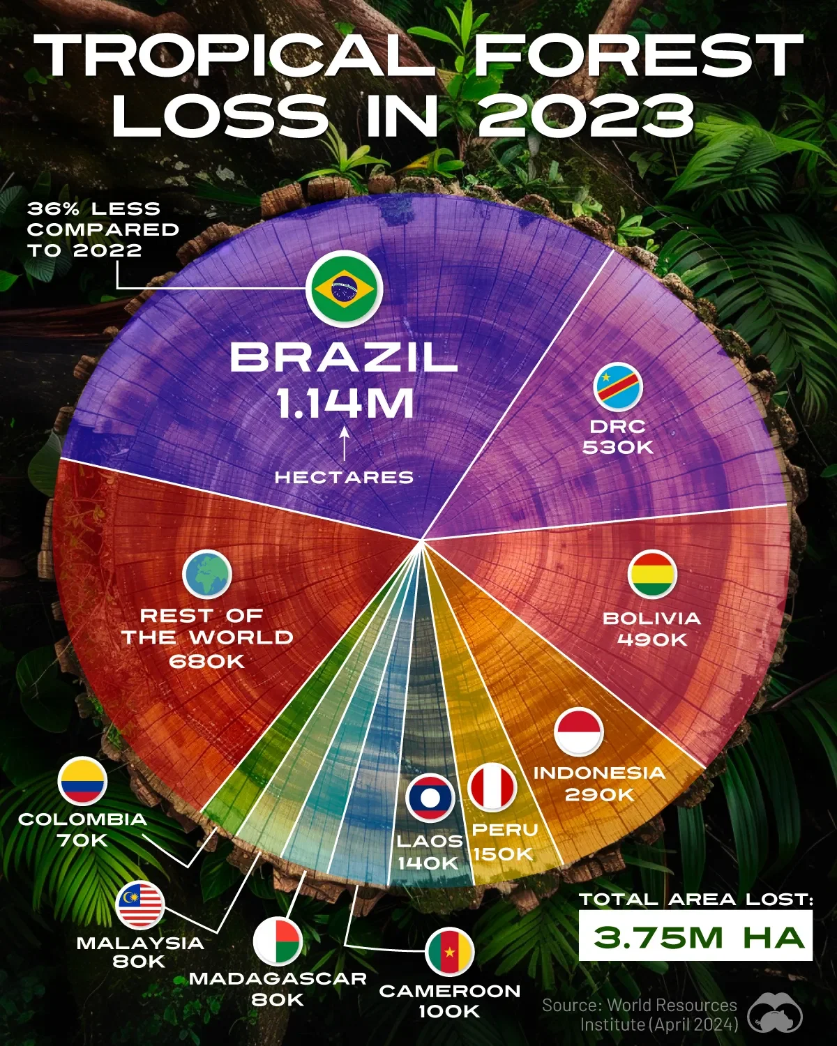 Breaking Down Tropical Forest Loss in 2023 🌴