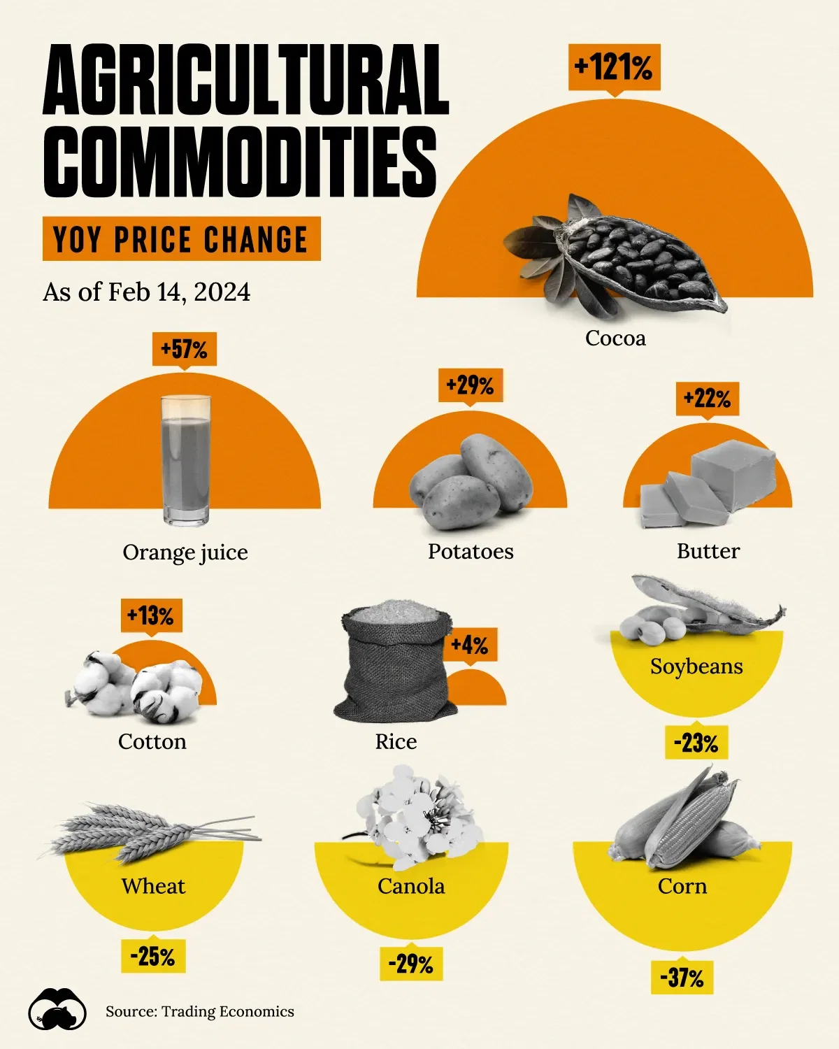 The Price of Cocoa Has More Than Doubled Over the Past Year 🍫