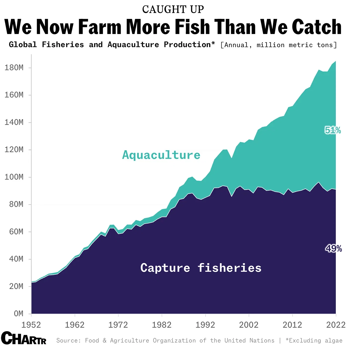 We now farm more fish than we catch