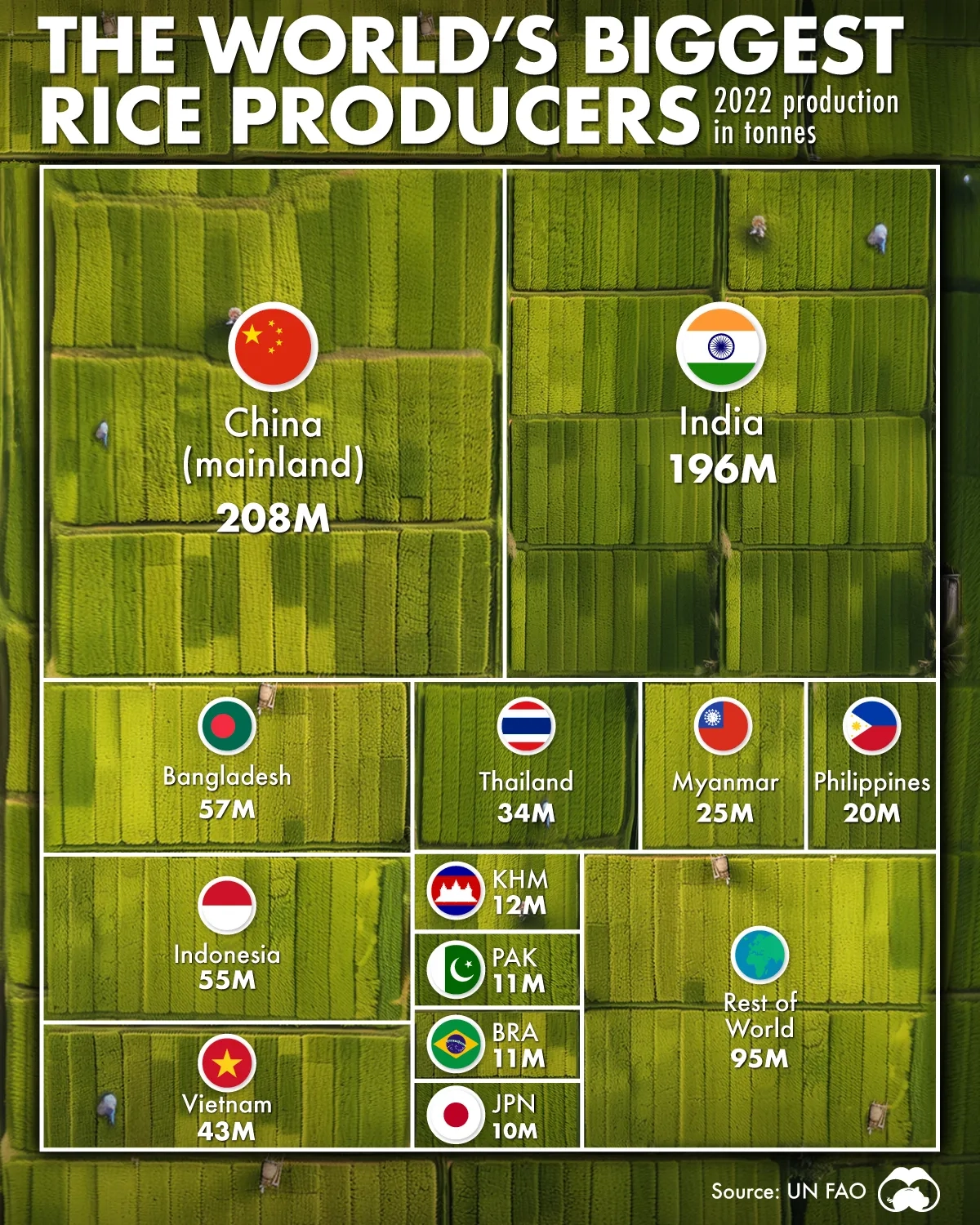 Giant Rice China China & India Grow More Rice Than the Rest of the World Combined - Voronoi